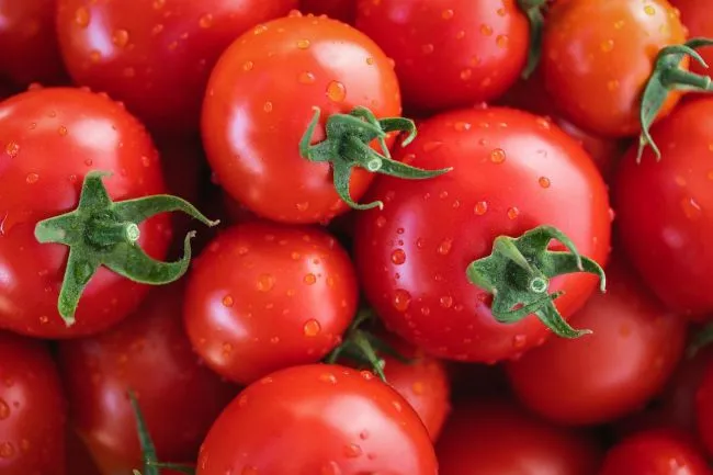 Overview of the Vegetable Market Situation in Ukraine: Prices Decrease and Increase