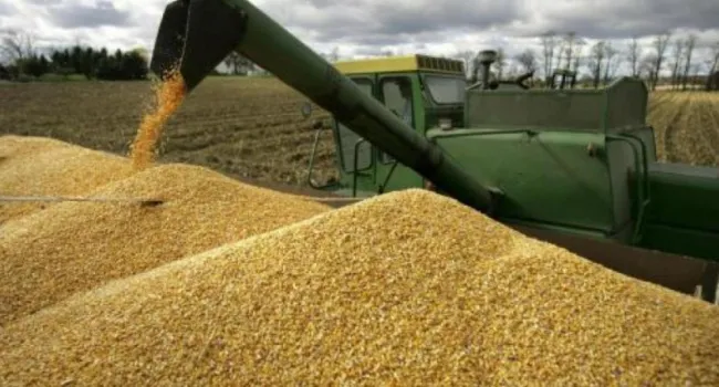 EU Restores Import Quotas on Goods from Ukraine, Intensifying Economic Problems