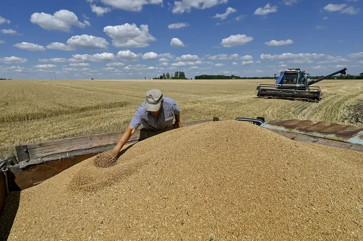 Ministry of Agrarian Policy: Ukraine Seeks Partnership with the EU Without Privileges