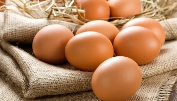 Prices of Chicken Eggs in Ukraine Decreased at the Beginning of June 2025