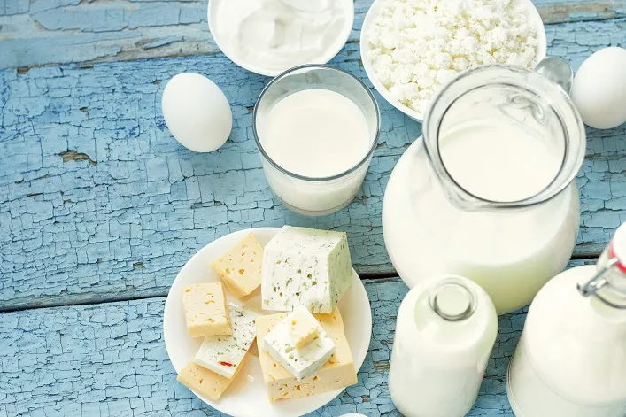 Экспорт молочной продукции Украины в 2025 году почти вдвое превысил импорт