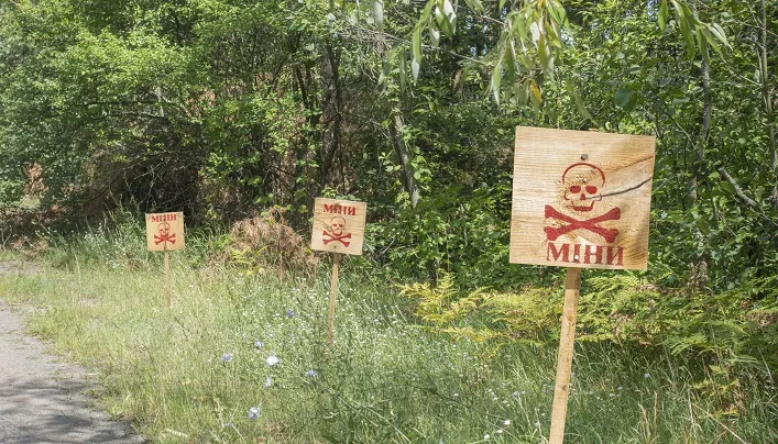 Масштабное минное загрязнение в Украине повышает цены на продукты и энергию в мире