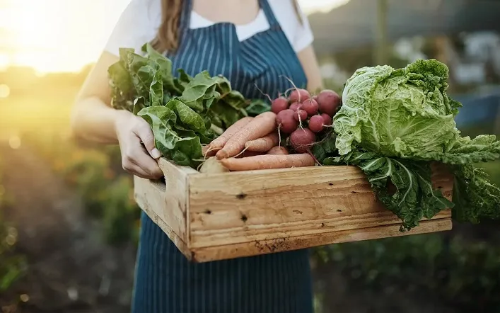 A National Network of Vegetable Storage Facilities to Be Launched in Ukraine