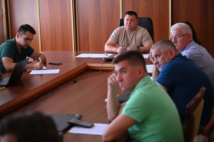 Закарпатье разрабатывает инвестиционные проекты для шведских и японских компаний