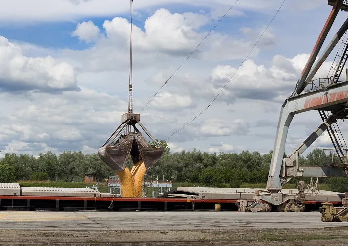 Export of Agricultural Products from Ukraine Decreased by 9% in the First Half of 2025