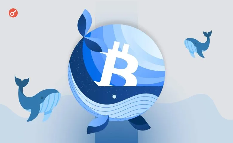 Large Investors Continue to Actively Accumulate Bitcoin – Market Analysis