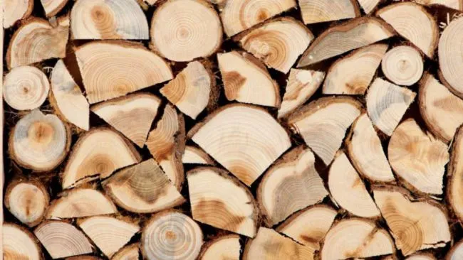 Rapid Increase in Prices for Timber and Firewood Recorded in Ukraine