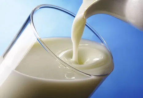 Prices for Dairy Products in Ukraine Decrease Due to Low Demand and Increased Imports