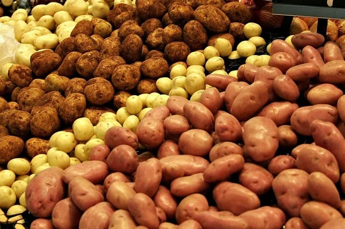 High Potato Yields in Moldova and Ukraine Lead to Price Decrease