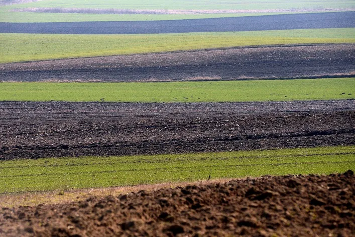 Ukraine’s budget losses due to shadow land use have reached ₴24 billion per year