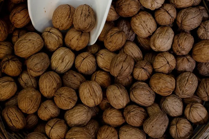 Ukraine Ranks Fourth in the World for Walnut Production