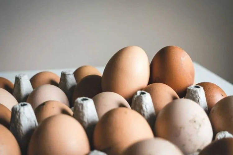 Prices for Chicken Eggs in Ukraine May Rise by 20% in December