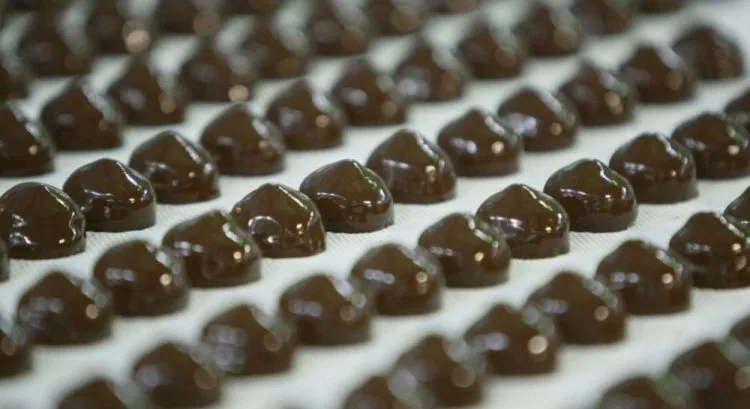 Price Increase for Confectionery Products Expected in Ukraine in 2026