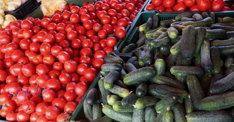 Prices for Greenhouse Tomatoes in Ukraine Surge Due to Shortage and Demand