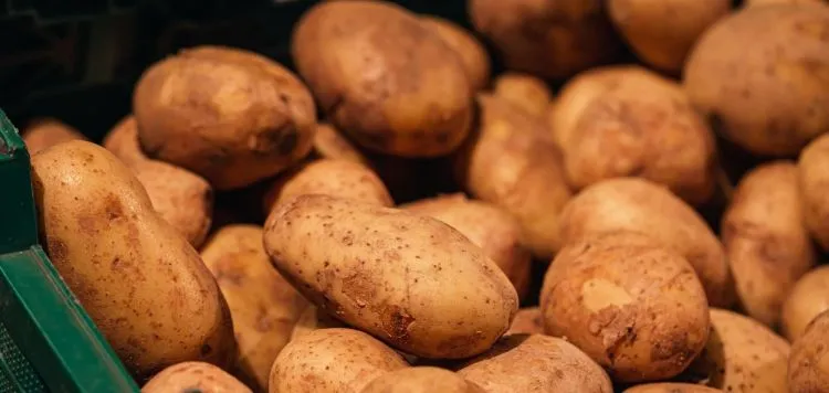 Potato Prices in Ukraine Decrease by 10% Ahead of New Year Holidays