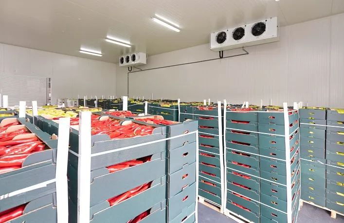 Construction of Large Vegetable Storage Facilities Will Solve Harvest Storage Problems in Ukraine