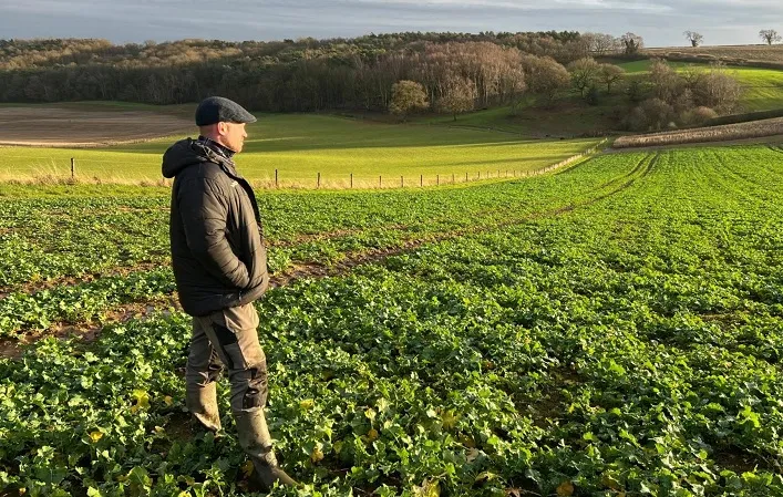 State Support for Agricultural Product Insurance: Government Introduces Compensation for Farmers