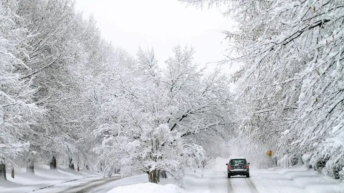 Weather Forecast for January 31: Frosts, Stormy Winds, and Precipitation in Ukraine