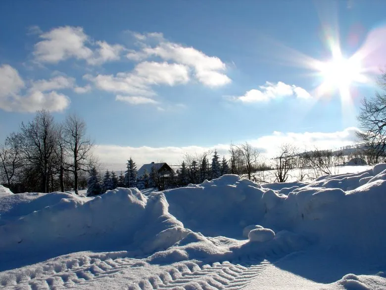 Арктическое похолодание до -24°C в Украине: когда ожидать значительного снижения температуры