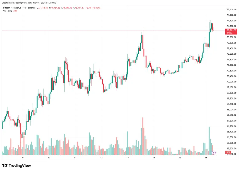 Биткойн превысил $74 000 на фоне роста инвестиций в крипто-ETF