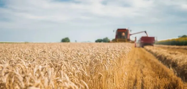 A Digital Platform AKIS for the Agricultural Sector Launched in Ukraine