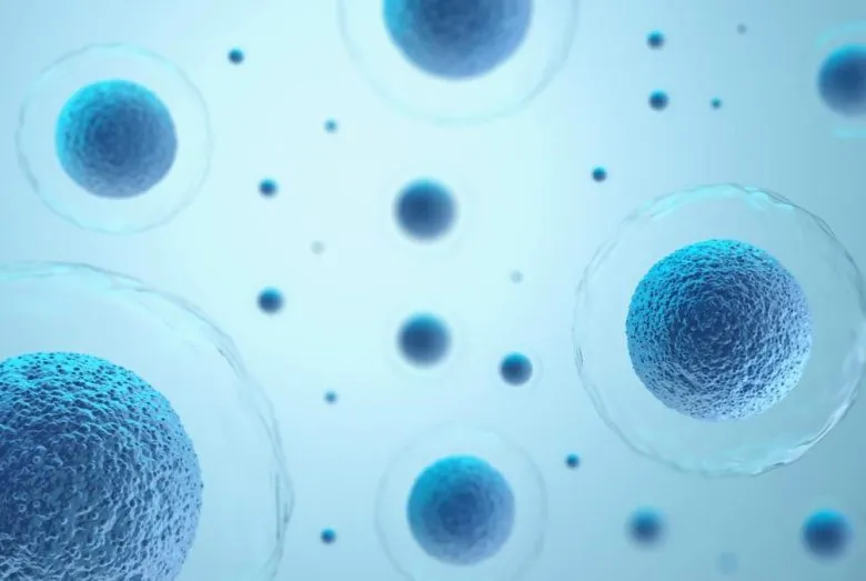 Eli Lilly планирует приобрести Kelonia Therapeutics за более чем $2 млрд для расширения онкологического портфеля