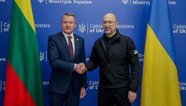 Шмигаль и министр энергетики Литвы обсудили защиту энергетической системы Украины зимой