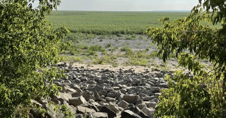 Майбутнє Каховського водосховища: як формується нова екосистема регіону