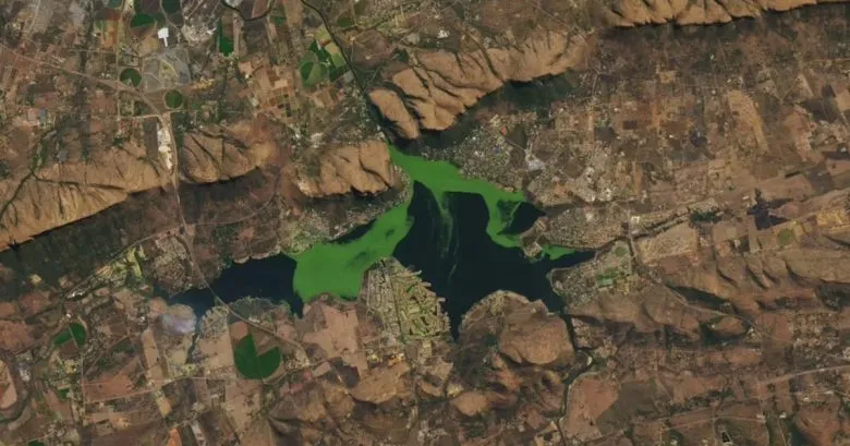 Токсичное цветение водорослей в Южной Африке заметно из космоса