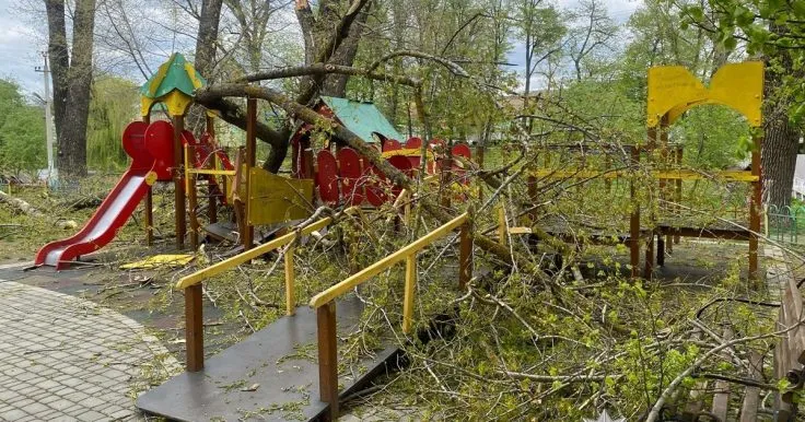 In Bukovina, a storm caused trees to fall on a playground: two children were injured