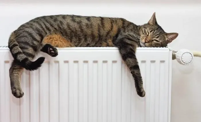Blocking of heating and communal energy accounts threatens preparation for the heating season