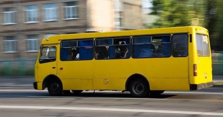 Кот-кондуктор в киевском автобусе стал звездой соцсетей: фото и реакции пассажиров