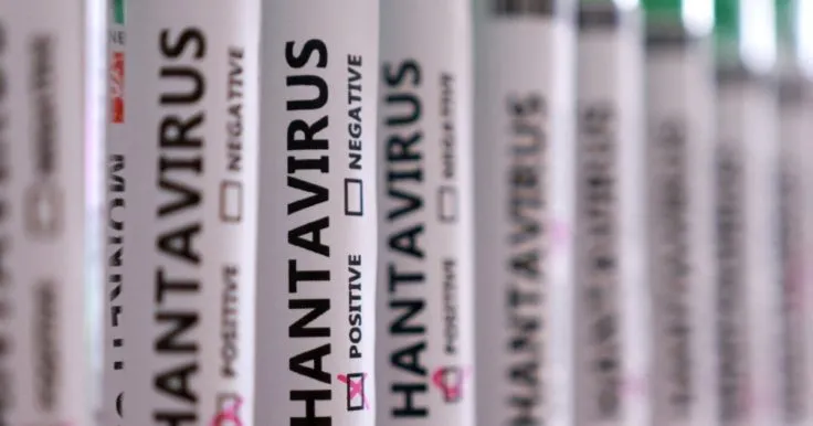 How to Protect Yourself from Hantavirus: Key Tips and the Situation in Ukraine and the World