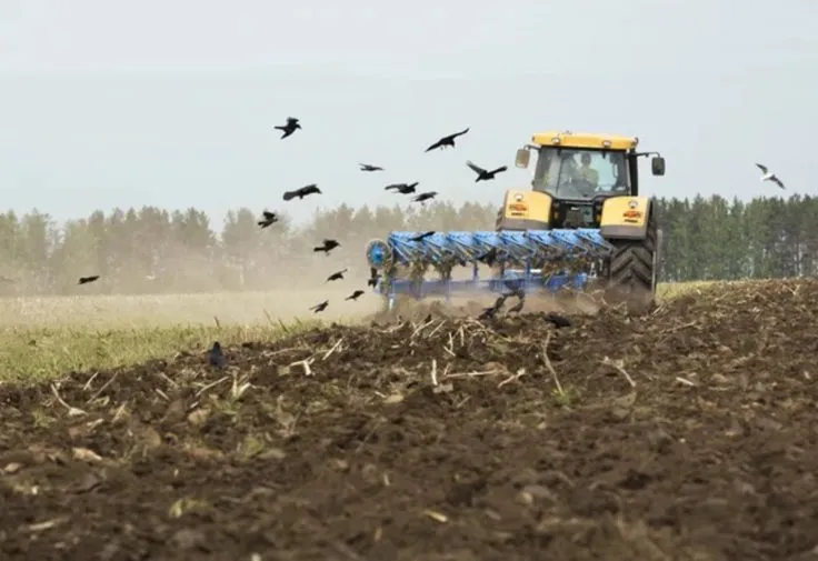 Ukrainian Farmers Complete the 2026 Sowing Campaign: Over 12 Million Hectares Planted with Spring Crops
