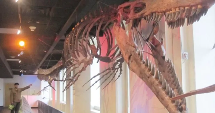 Палеонтологи открыли гигантского тилозавра Tylosaurus rex — морского хищника мелового периода