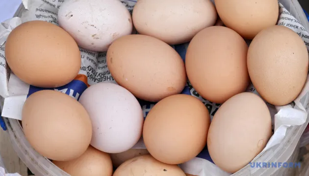 Ukraine Increased Chicken Egg Exports by 77% in 2025 Due to Demand in the EU