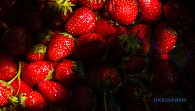 Strawberry Prices in Ukraine Decrease Due to Increased Supply from Western Regions
