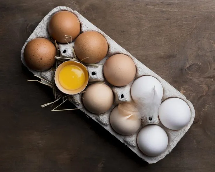 Ukraine Opens Agroexport to South Korea, Malaysia, Namibia, Peru, and Paraguay