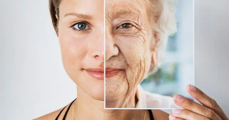 How Circadian Rhythm Affects the Speed of Aging: New Findings from Scientists