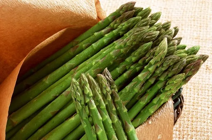 Asparagus harvest in Ukraine affected by cold spring and strong winds